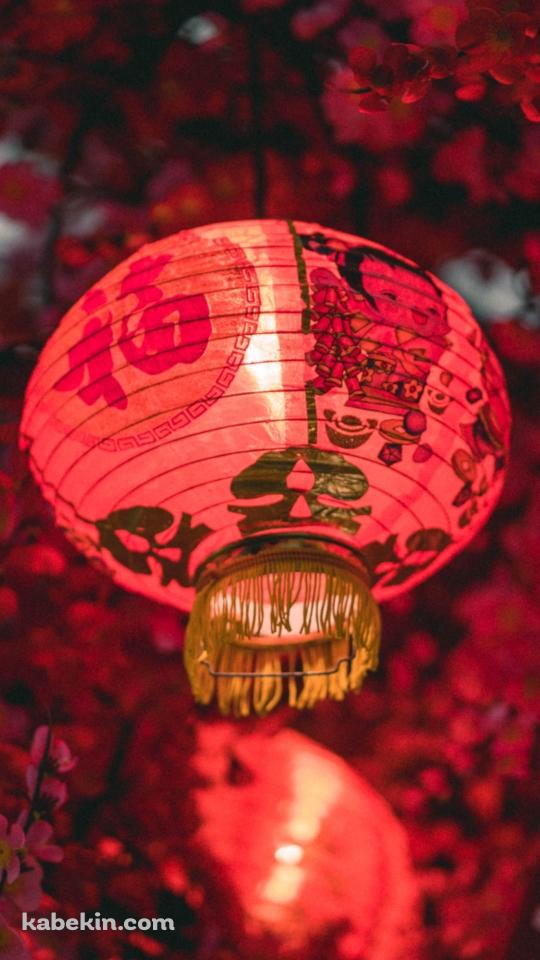 中国 元宵節 春節 赤い提灯・ランタンのAndroidの壁紙(540px x 960px) スマホ用