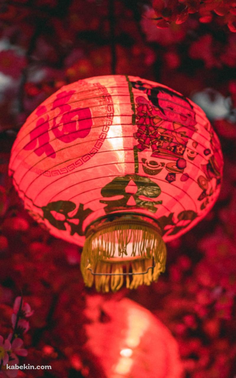 中国 元宵節 春節 赤い提灯・ランタンのAndroidの壁紙(800px x 1280px) スマホ用