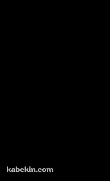 Wii UのAndroidの壁紙(360px x 592px) スマホ用