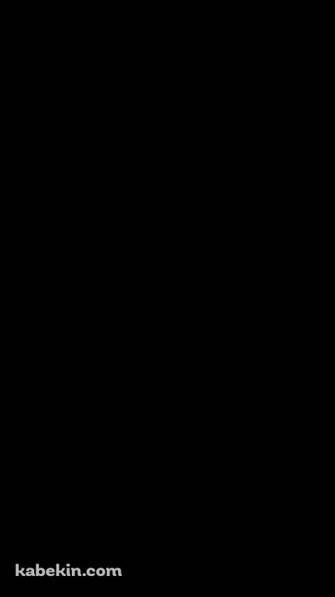 Wii UのAndroidの壁紙(480px x 854px) スマホ用