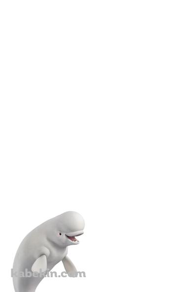 白イルカのAndroidの壁紙(360px x 592px) スマホ用