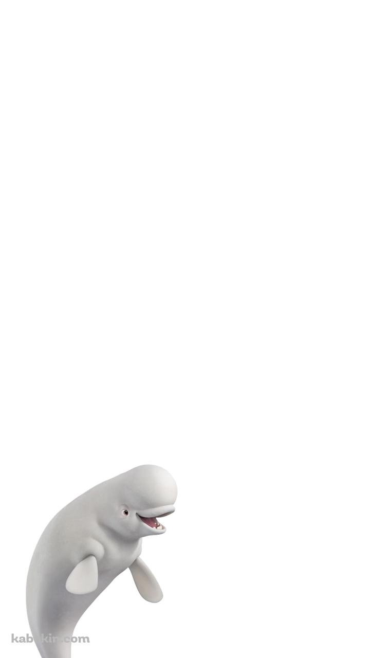 白イルカのAndroidの壁紙(720px x 1280px) スマホ用