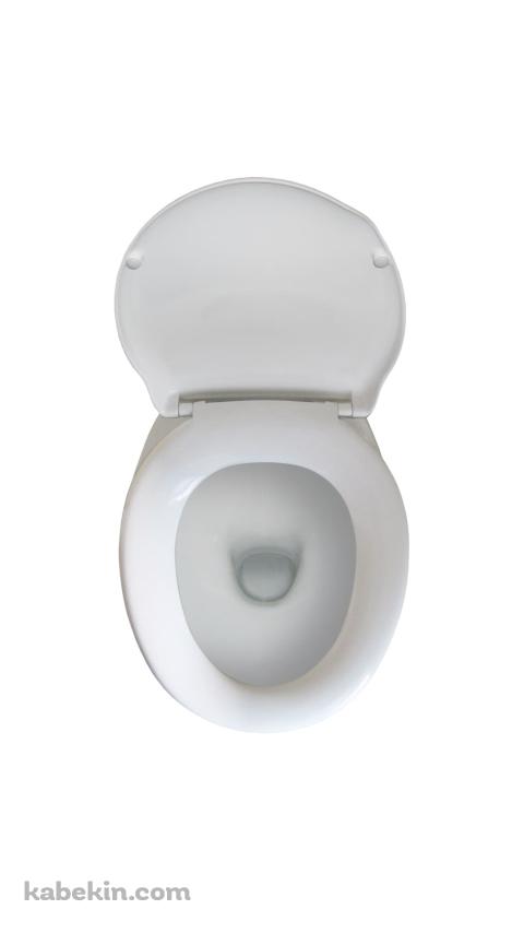 トイレのAndroidの壁紙(480px x 854px) スマホ用