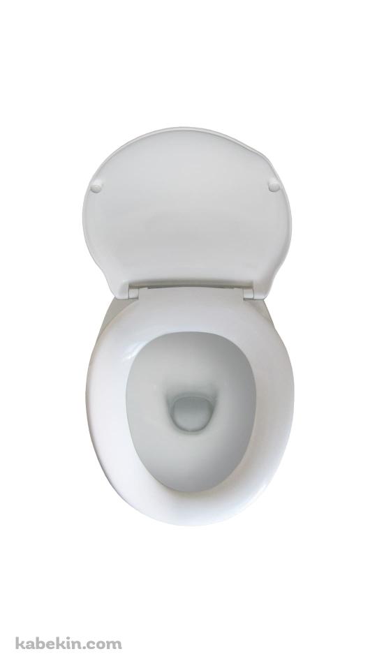 トイレのAndroidの壁紙(540px x 960px) スマホ用