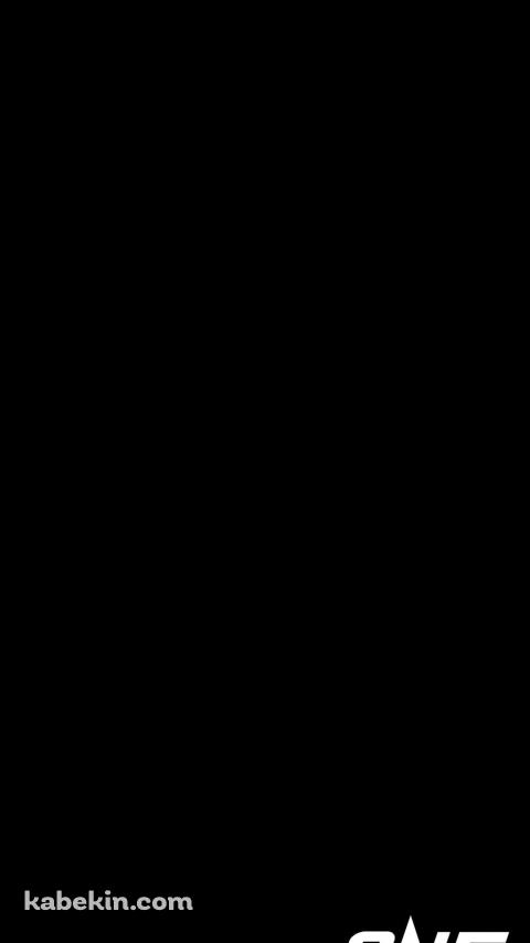ONE ChampionshipのAndroidの壁紙(480px x 854px) スマホ用