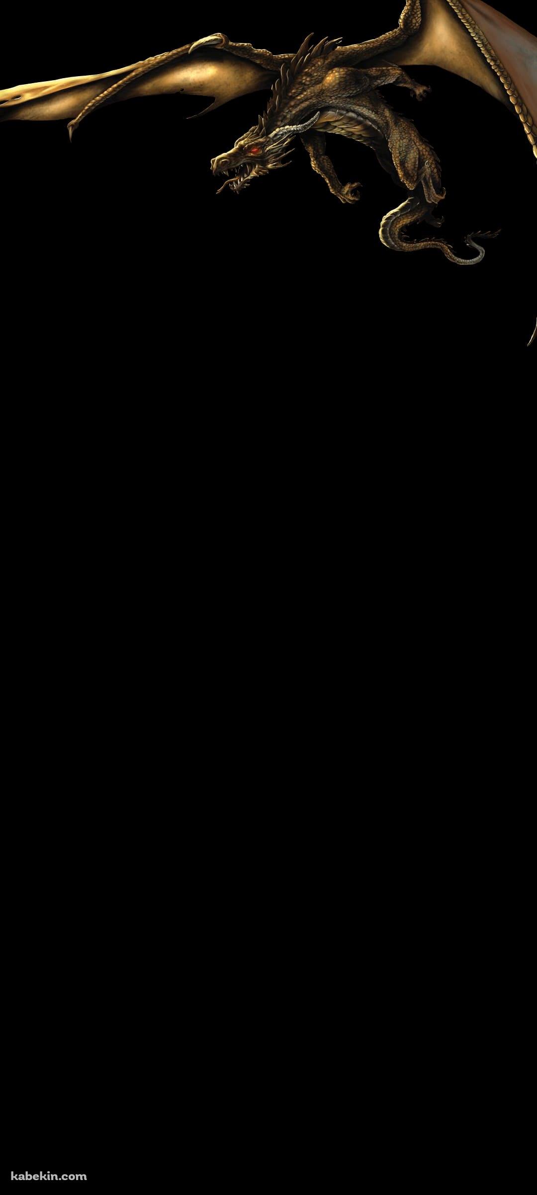 飛翔するワイバーンのAndroidの壁紙(1080px x 2400px) スマホ用