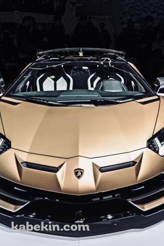 モーターショー ランボルギーニ アヴェンタドール SVJ RoadsterのAndroidの壁紙(320px x 480px) スマホ用
