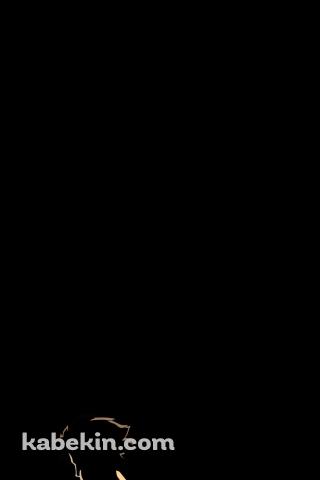 サムライチャンプルーのAndroidの壁紙(320px x 480px) スマホ用