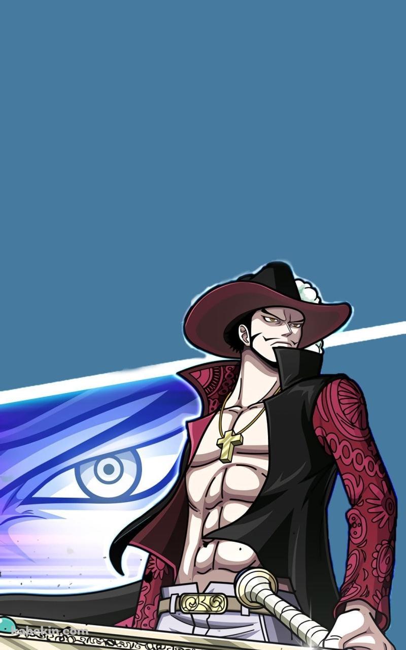 ジュラキュール・ミホーク（鷹の目のミホーク）のAndroidの壁紙(800px x 1280px) スマホ用