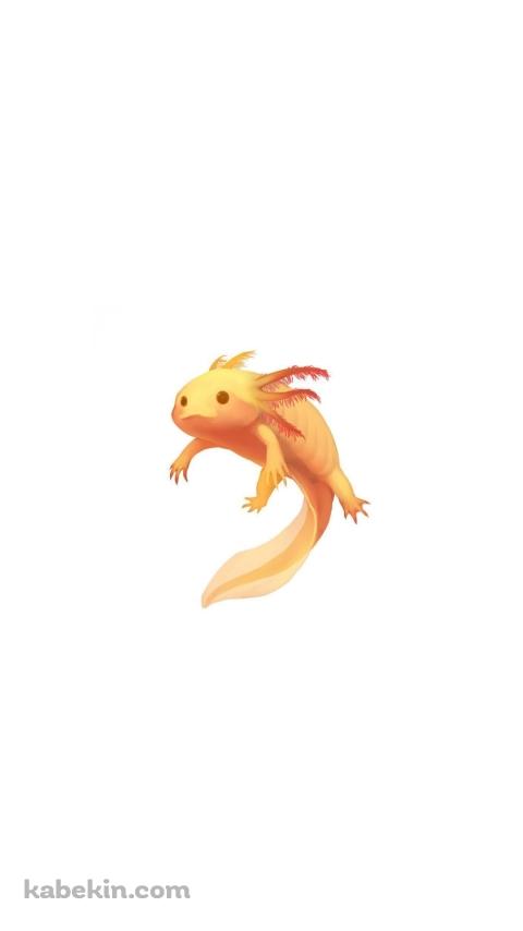 アホロートル メキシコサンショウウオのAndroidの壁紙(480px x 854px) スマホ用