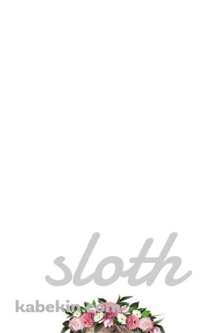 かわいいナマケモノ SlothのAndroidの壁紙(320px x 480px) スマホ用