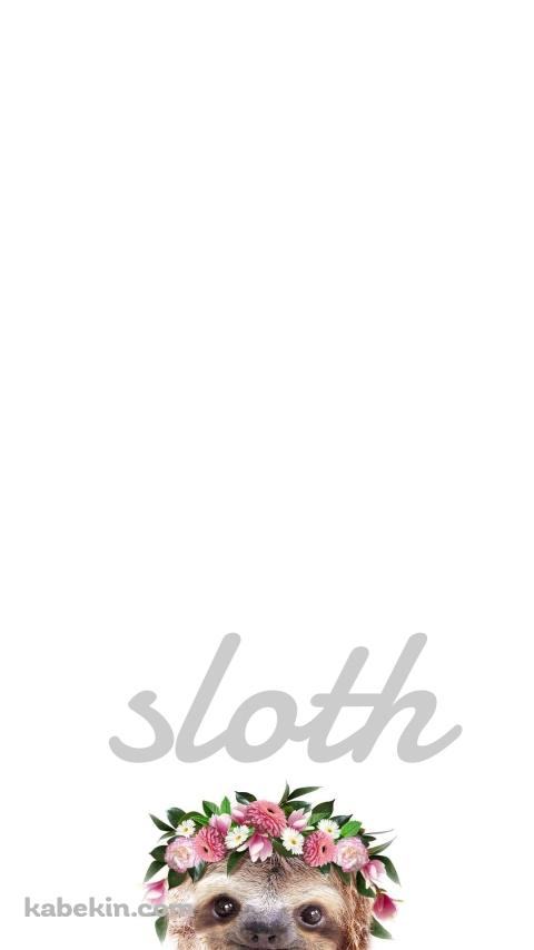 かわいいナマケモノ SlothのAndroidの壁紙(480px x 854px) スマホ用