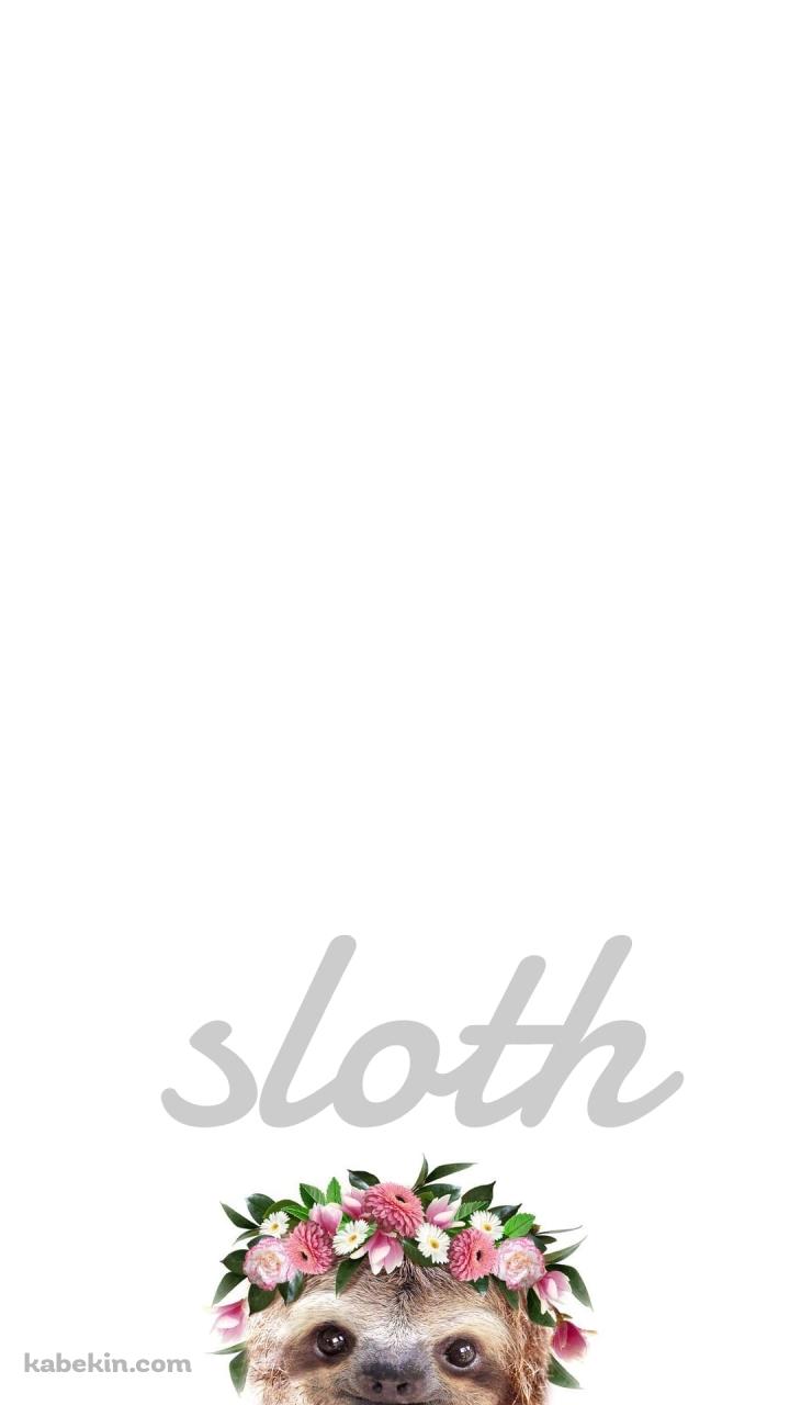 かわいいナマケモノ SlothのAndroidの壁紙(720px x 1280px) スマホ用