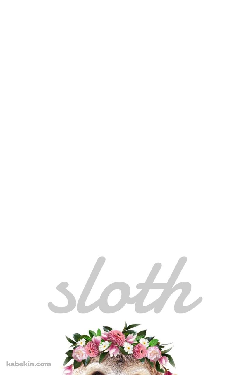 かわいいナマケモノ SlothのAndroidの壁紙(800px x 1280px) スマホ用