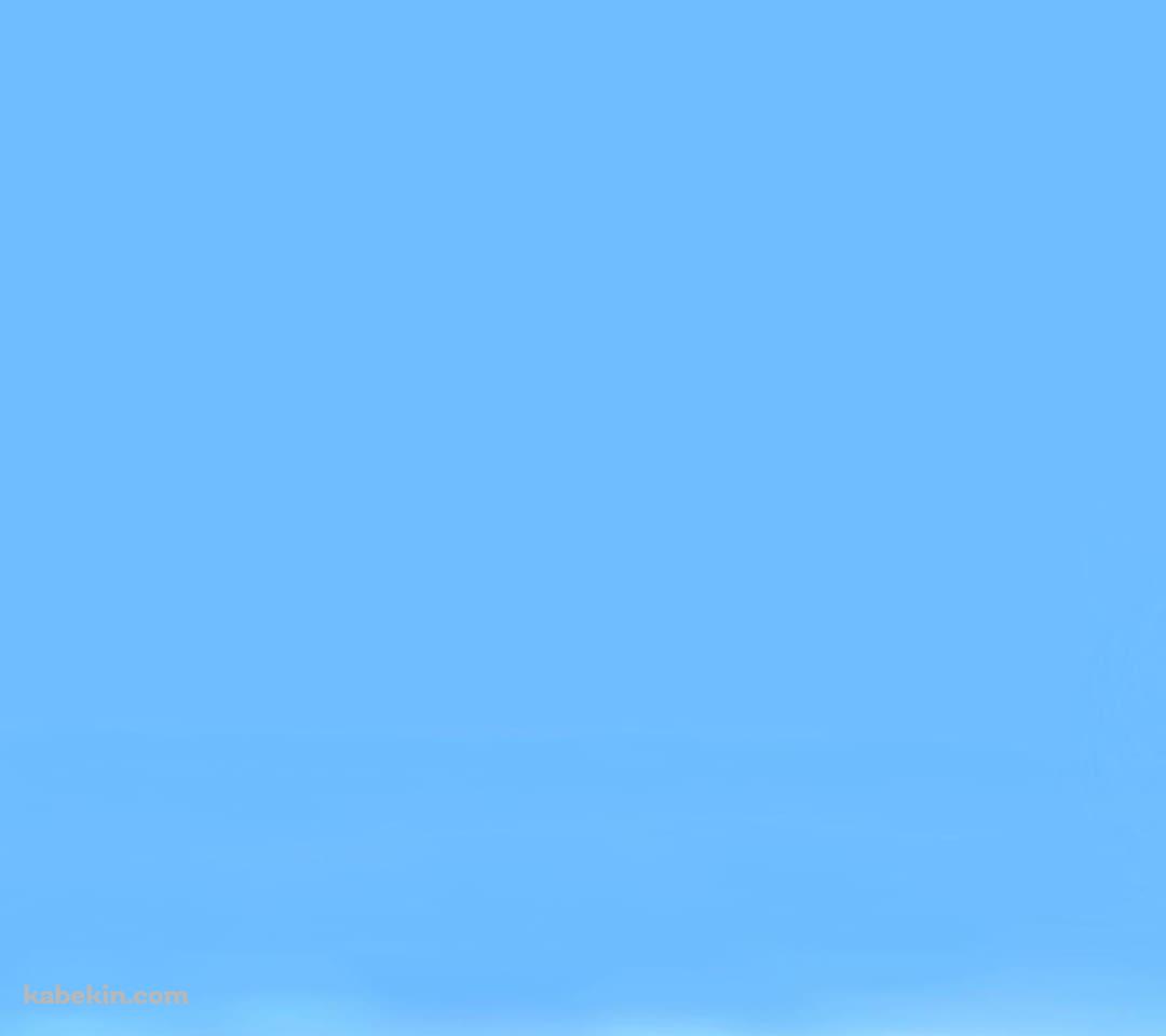 PUBG リアリスティックのAndroidの壁紙(1080px x 960px) スマホ用