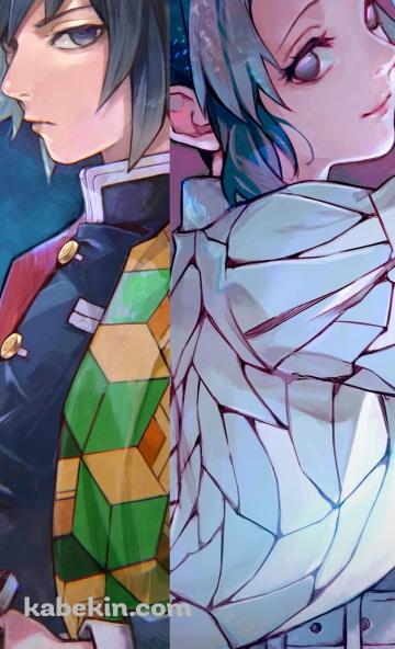 冨岡義勇と胡蝶しのぶ / 鬼滅の刃のAndroidの壁紙(360px x 592px) スマホ用