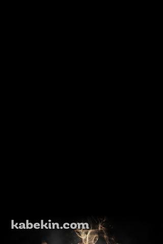 ポートガス・Ｄ・エース / 二番隊隊長 / 黒 / ONE PIECEのAndroidの壁紙(320px x 480px) スマホ用