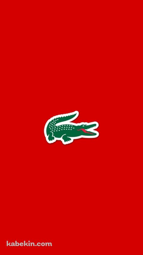 ラコステ Lacoste ワニのAndroidの壁紙(480px x 854px) スマホ用