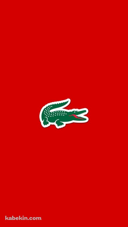 ラコステ Lacoste ワニのAndroidの壁紙(540px x 960px) スマホ用