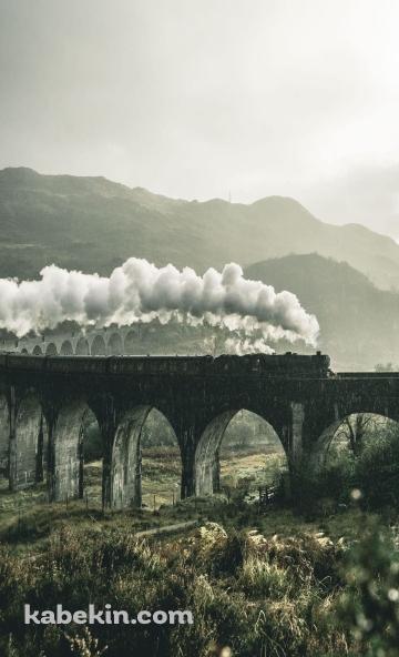 グレンフィナン高架橋を通過する汽車 / ウェスト・ハイランド線の鉄道高架橋 / スコットランド北西部 / ハイランドのAndroidの壁紙(360px x 592px) スマホ用