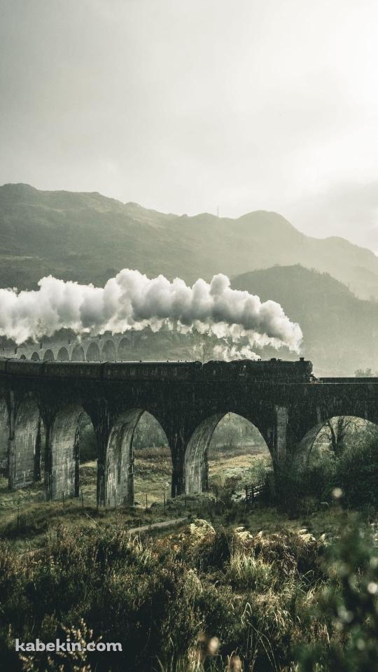 グレンフィナン高架橋を通過する汽車 / ウェスト・ハイランド線の鉄道高架橋 / スコットランド北西部 / ハイランドのAndroidの壁紙(540px x 960px) スマホ用