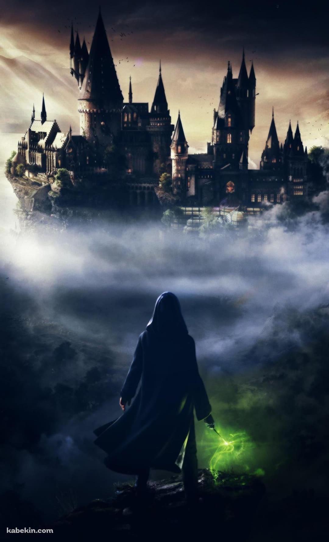 ホグワーツ・レガシー / hogwarts legacyのAndroidの壁紙(1080px x 1776px) スマホ用