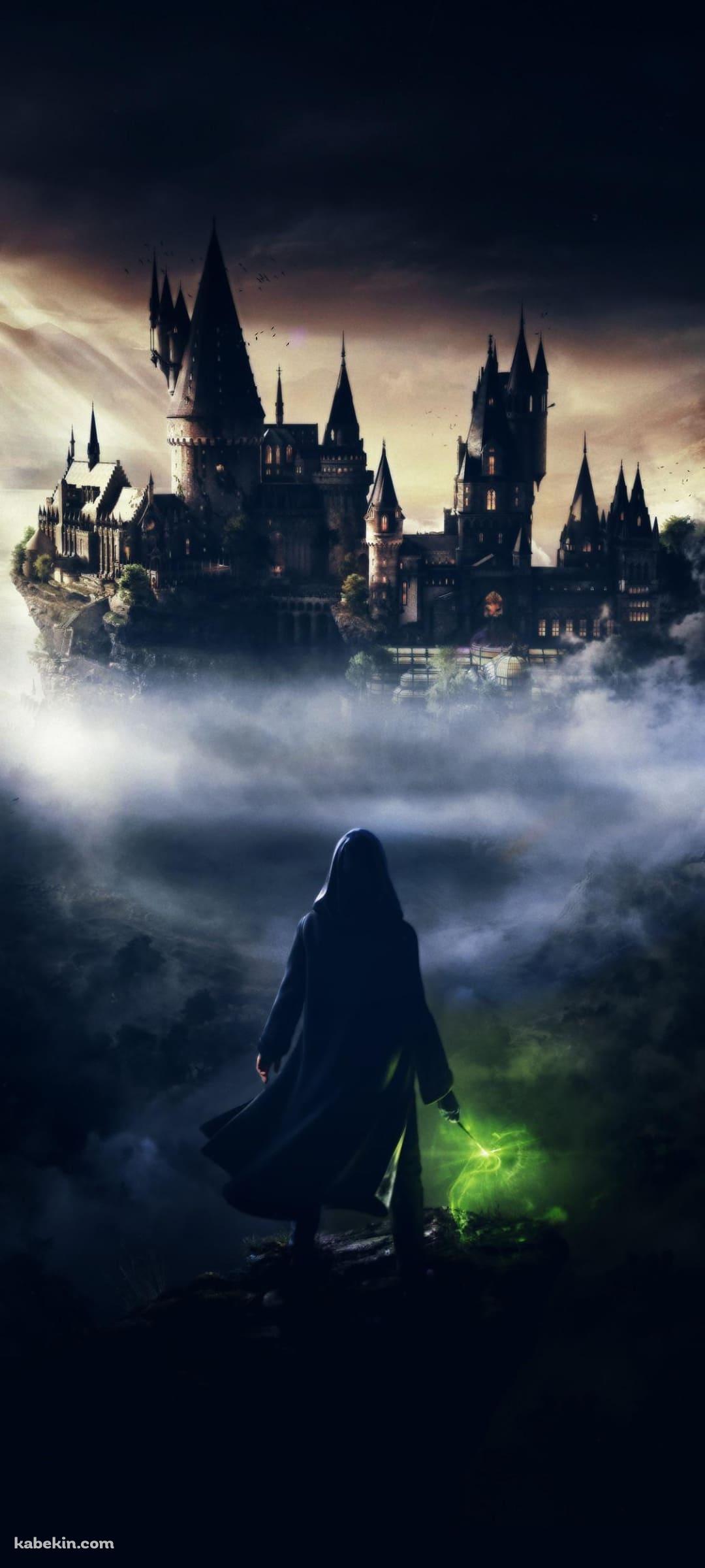 ホグワーツ・レガシー / hogwarts legacyのAndroidの壁紙(1080px x 2400px) スマホ用