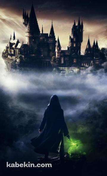 ホグワーツ・レガシー / hogwarts legacyのAndroidの壁紙(360px x 592px) スマホ用