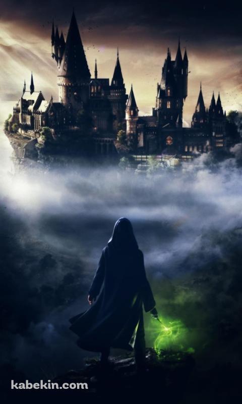 ホグワーツ・レガシー / hogwarts legacyのAndroidの壁紙(480px x 800px) スマホ用