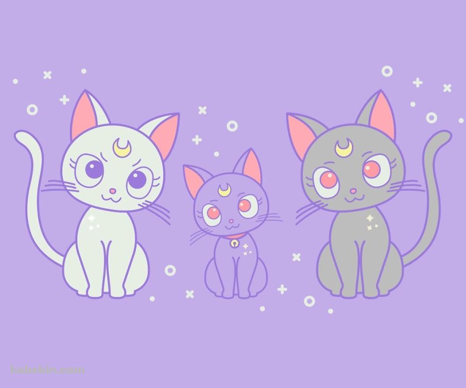 セーラームーン / ルナ / アルテミス / ダイアナ / 猫のAndroidの壁紙(960px x 800px) スマホ用