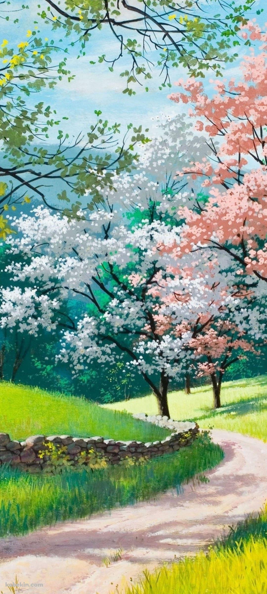 お花見 / 白・ピンクの花 / 桜 / 新緑 / 小春日和のAndroidの壁紙(1080px x 2400px) スマホ用