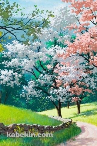 お花見 / 白・ピンクの花 / 桜 / 新緑 / 小春日和のAndroidの壁紙(320px x 480px) スマホ用