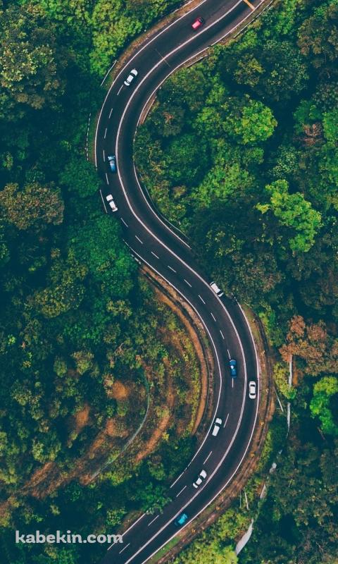 夏油高原スキー場へ続く道路 / 岩手県のAndroidの壁紙(480px x 800px) スマホ用