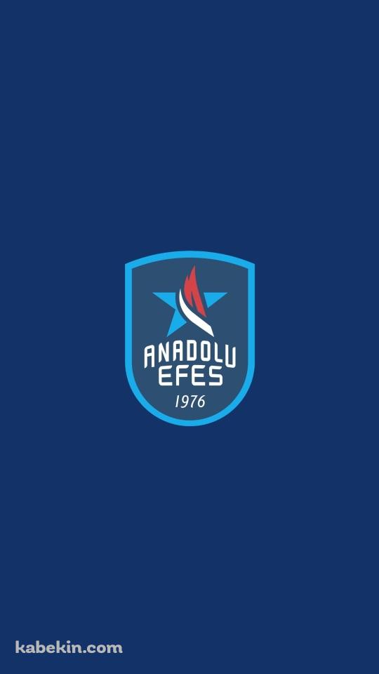 アナドル・エフェスSK / Anadolu EfesのAndroidの壁紙(540px x 960px) スマホ用