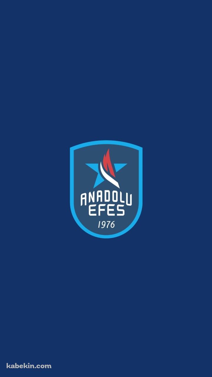 アナドル・エフェスSK / Anadolu EfesのAndroidの壁紙(720px x 1280px) スマホ用