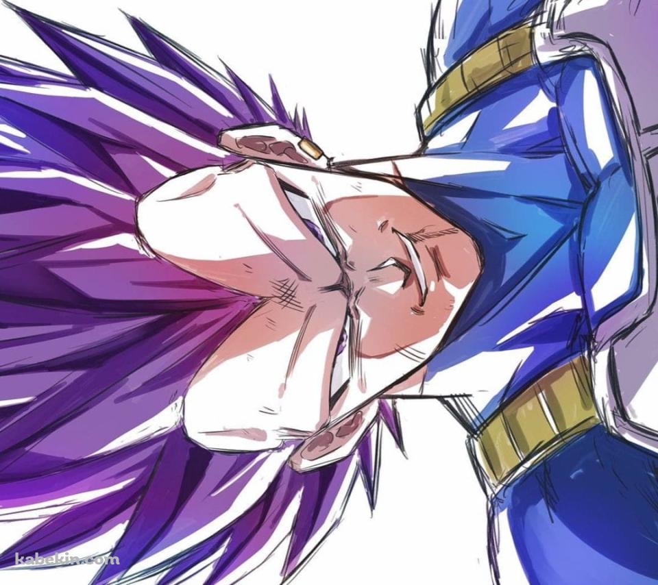 めちゃくちゃかっこいい破壊神ベジータ / ドラゴンボールのAndroidの壁紙(960px x 854px) スマホ用