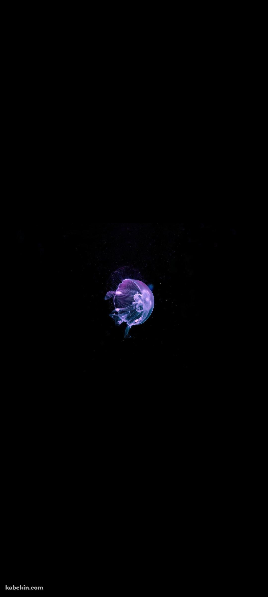 綺麗な紫のクラゲ / JellyfishのAndroidの壁紙(1080px x 2400px) スマホ用