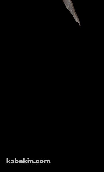 飛行する蝙蝠のAndroidの壁紙(360px x 592px) スマホ用