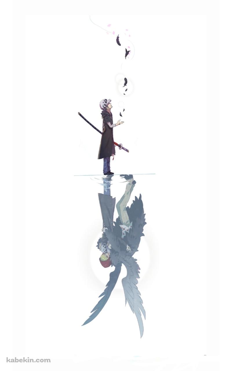 トラファルガー・ロー / オペオペの実 / TRAFALGAR LAW / ONE PIECEのAndroidの壁紙(800px x 1280px) スマホ用