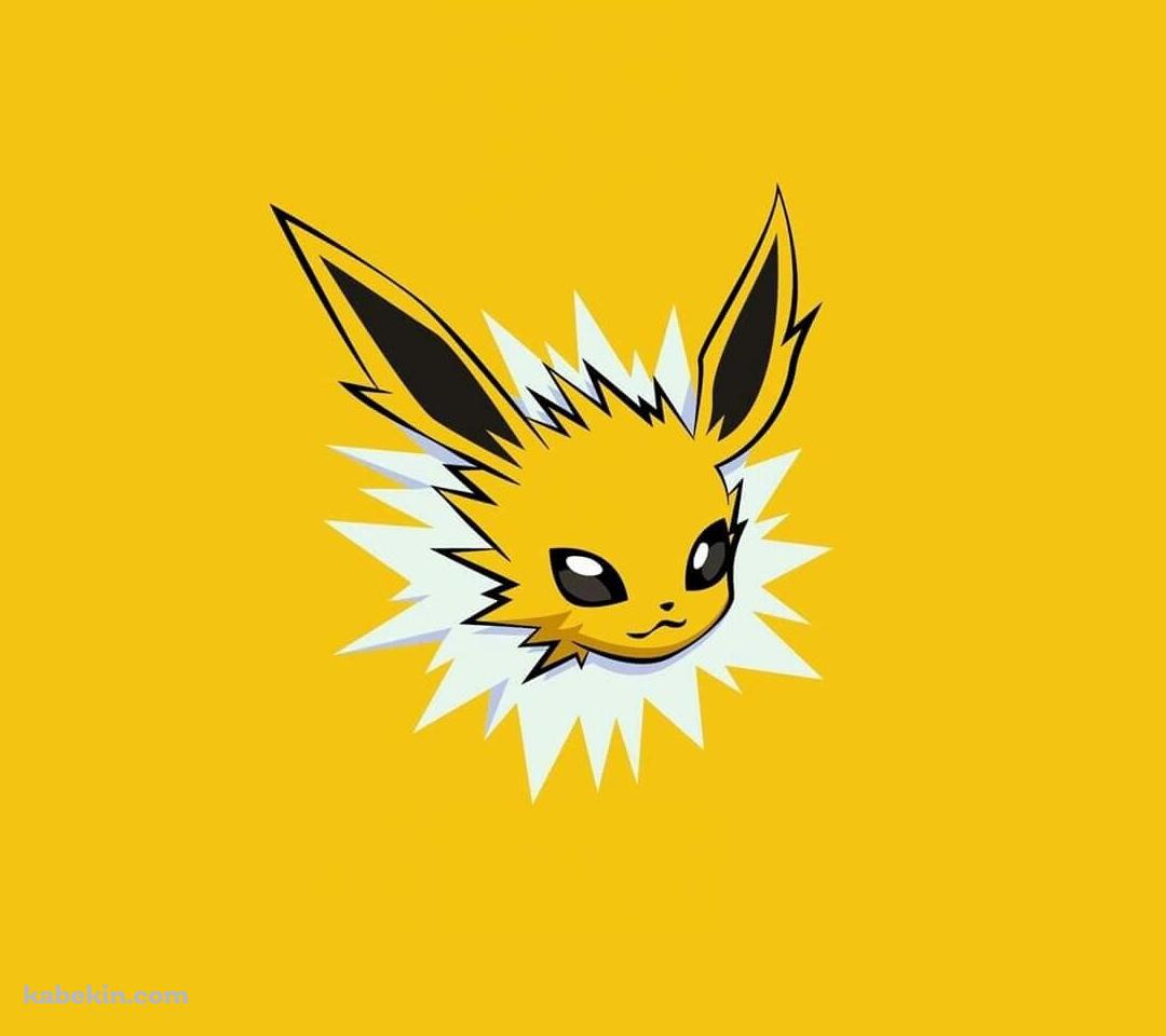 サンダース / ポケモン / ポケットモンスター / JolteonのAndroidの壁紙(1080px x 960px) スマホ用