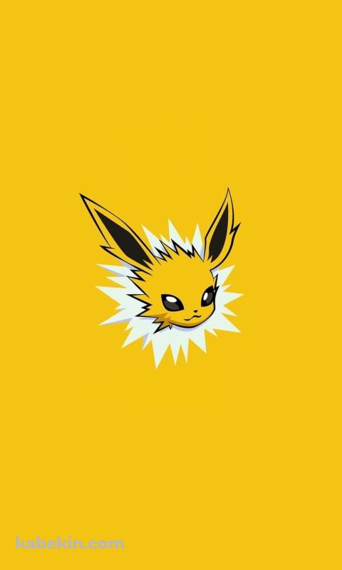 サンダース / ポケモン / ポケットモンスター / JolteonのAndroidの壁紙(480px x 800px) スマホ用