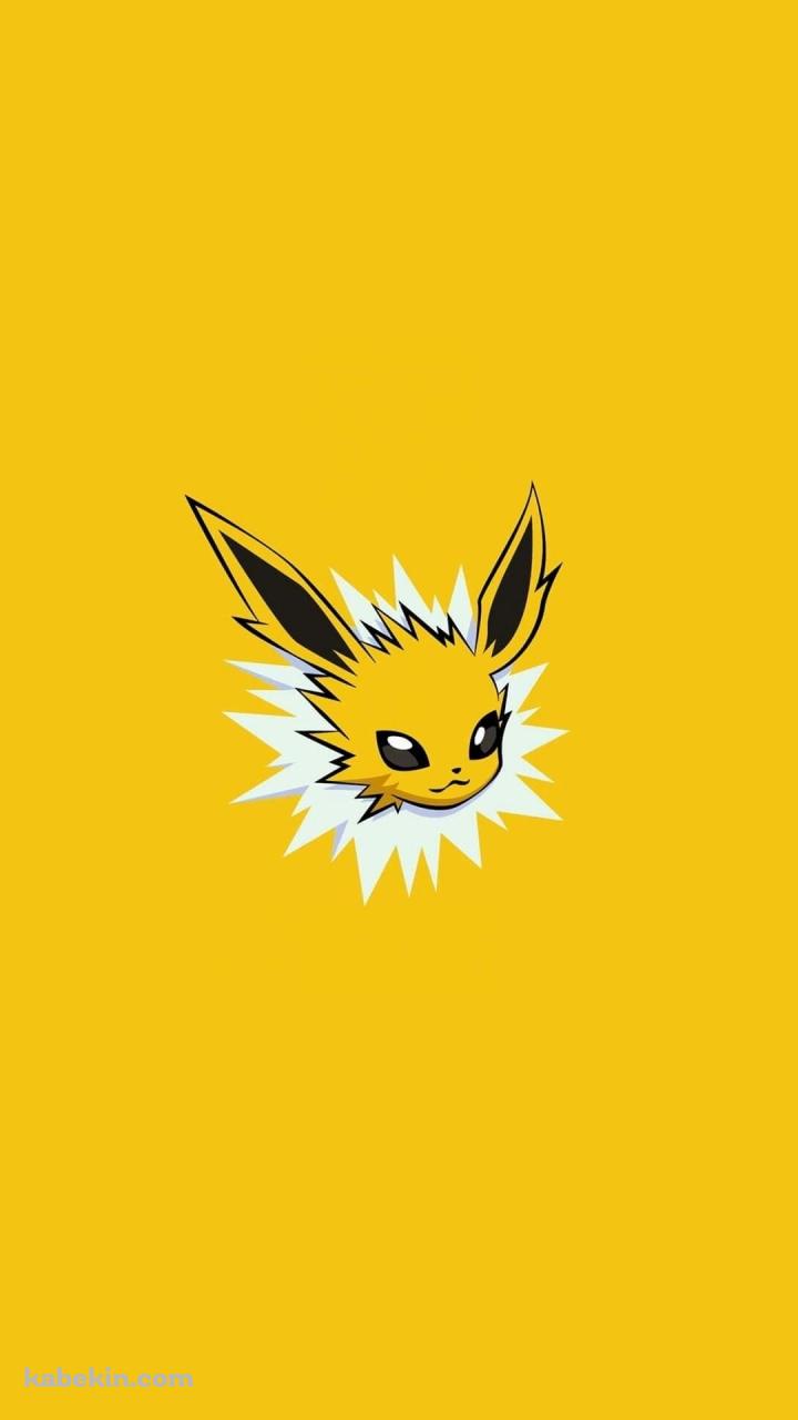 サンダース / ポケモン / ポケットモンスター / JolteonのAndroidの壁紙(720px x 1280px) スマホ用