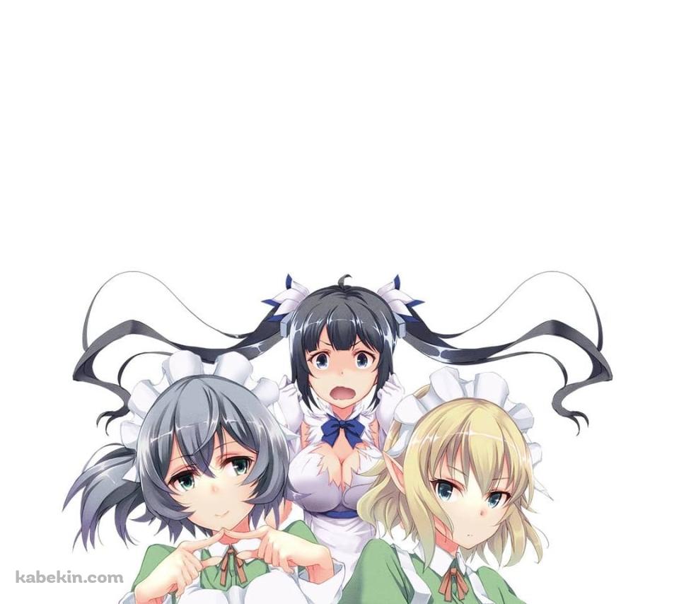 ヘスティア / エイナ・チュール / シル・フローヴァ / リュー・リオン / リリルカ・アーデ / ダンジョンに出会いを求めるのは間違っているだろうか / ダンまち / ファンアートのAndroidの壁紙(960px x 854px) スマホ用