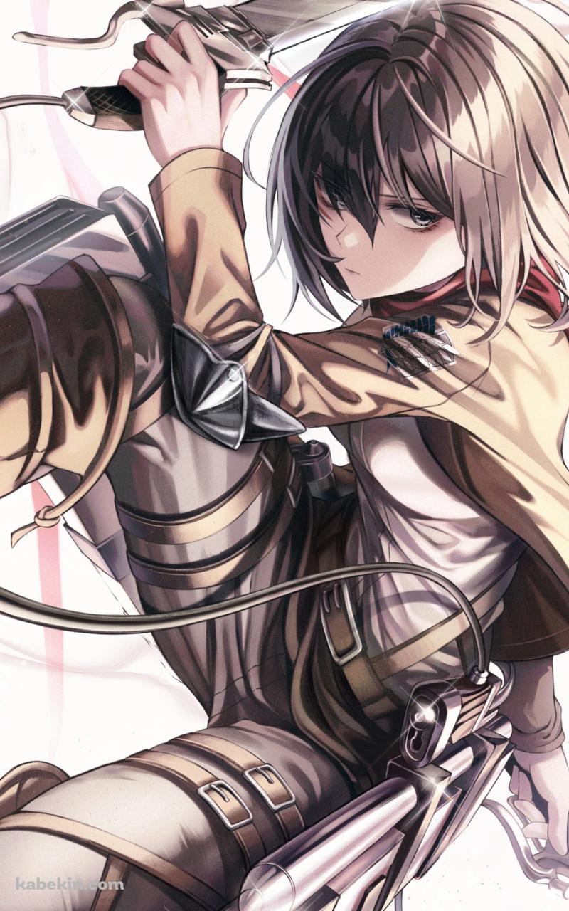 攻撃を繰り出すミカサ・アッカーマン / 進撃の巨人 / ラフスケッチ / ファンアート / イラストのAndroidの壁紙(800px x 1280px) スマホ用