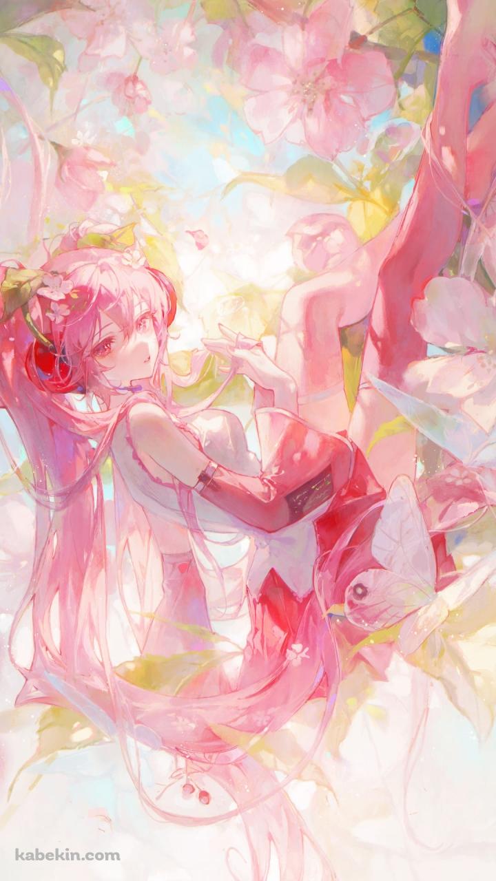 めちゃくちゃ綺麗な桜ミク / 桜の花 / 春 / ボカロ / ボーカロイドのAndroidの壁紙(720px x 1280px) スマホ用