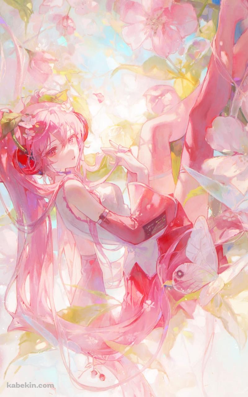 めちゃくちゃ綺麗な桜ミク / 桜の花 / 春 / ボカロ / ボーカロイドのAndroidの壁紙(800px x 1280px) スマホ用