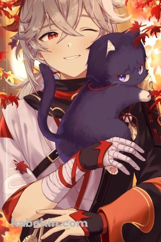 黒猫と楓原万葉 / 楓 / 秋 / 原神のAndroidの壁紙(320px x 480px) スマホ用