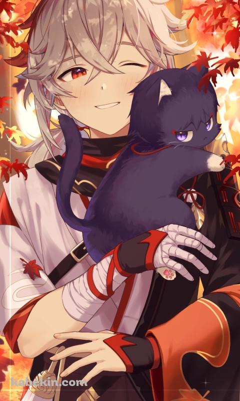 黒猫と楓原万葉 / 楓 / 秋 / 原神のAndroidの壁紙(480px x 800px) スマホ用