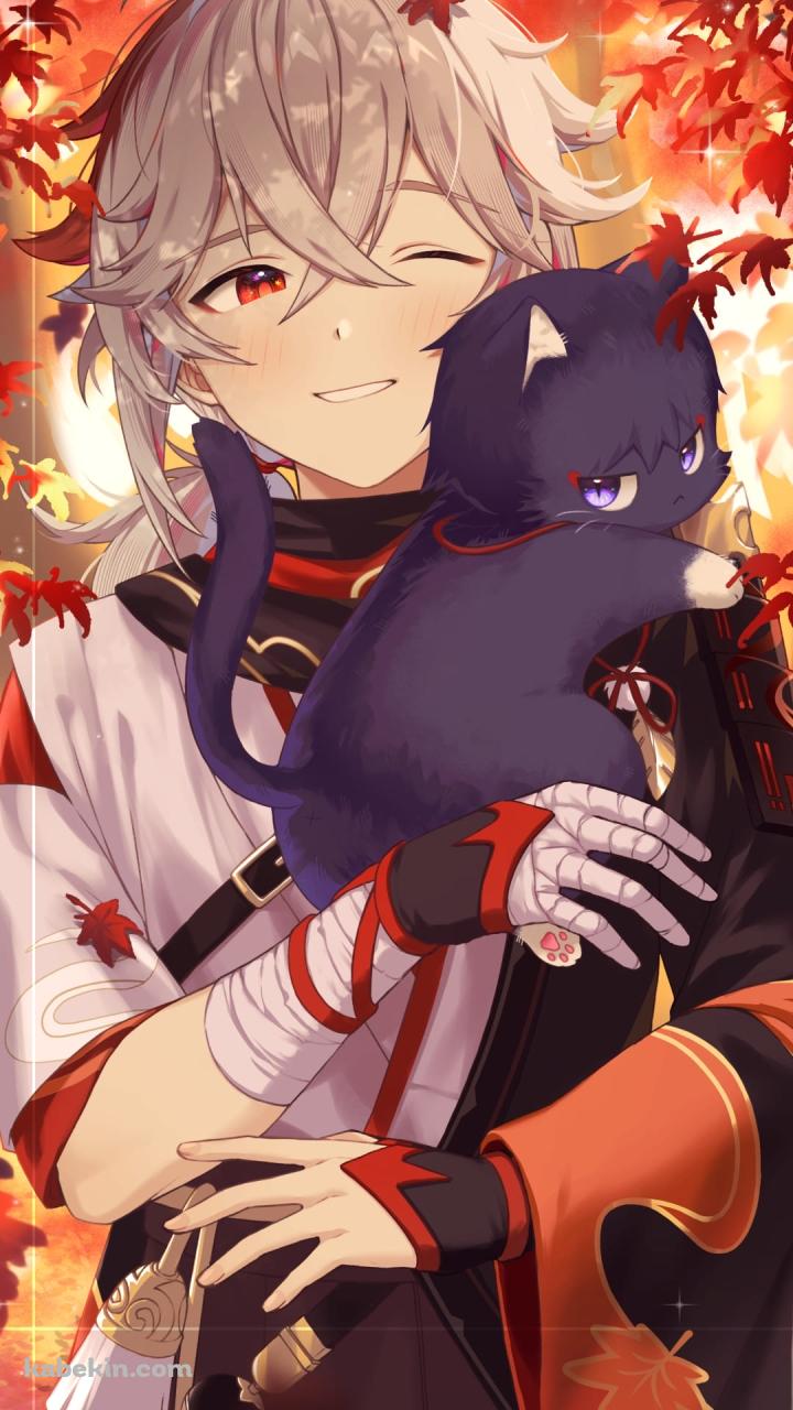 黒猫と楓原万葉 / 楓 / 秋 / 原神のAndroidの壁紙(720px x 1280px) スマホ用