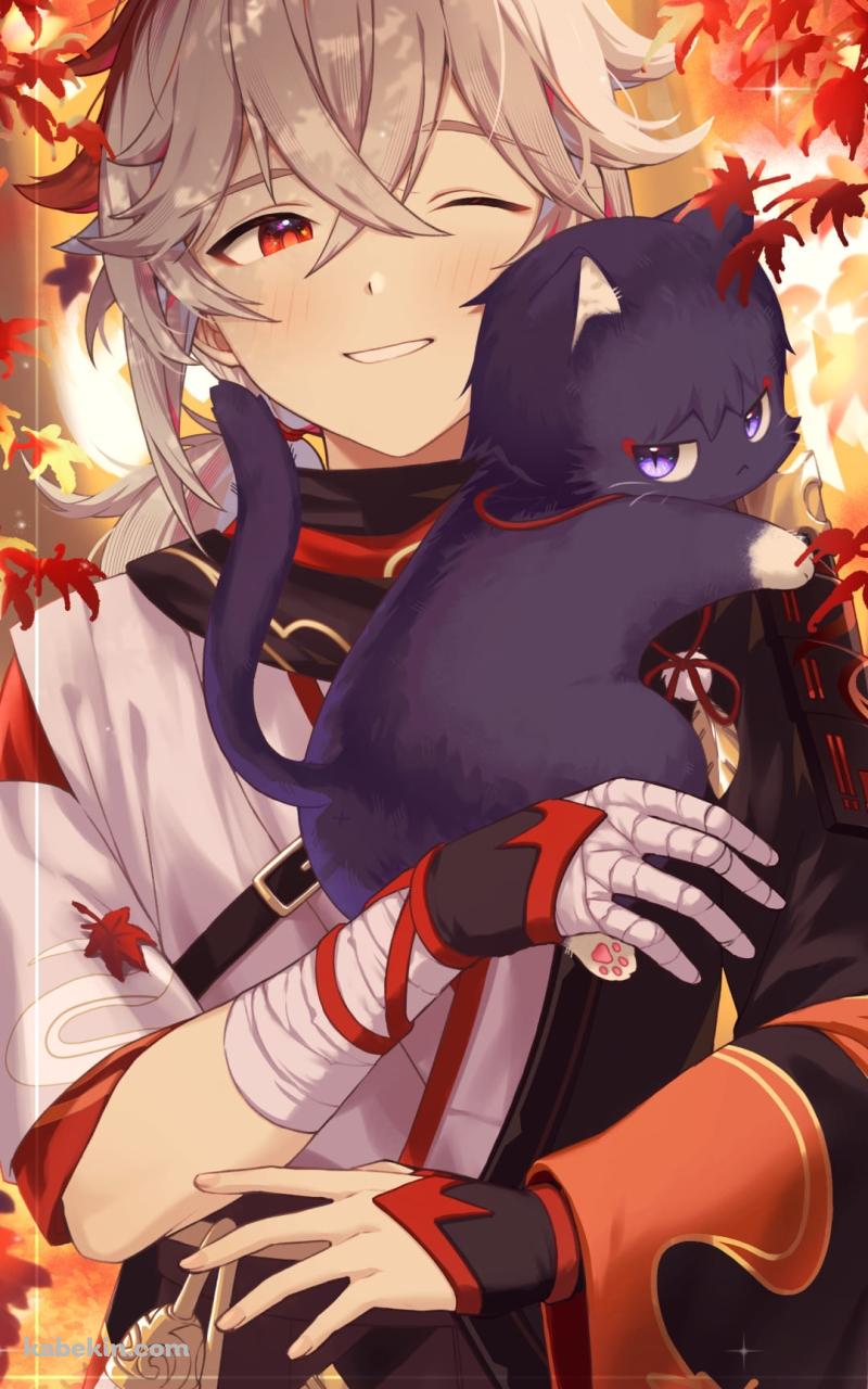 黒猫と楓原万葉 / 楓 / 秋 / 原神のAndroidの壁紙(800px x 1280px) スマホ用